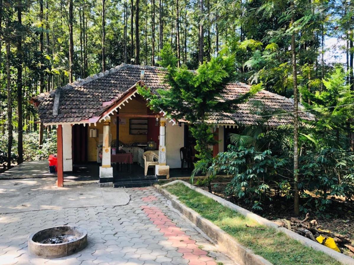 Silver Shadow Homestay Chikmagalur Ngoại thất bức ảnh